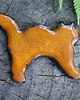 magnesy Ceramiczny magnes kot rudy