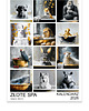 kalendarze i plannery Kalendarz 2026 Złote SPA 15x21 cm