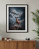 plakaty Plakat Jeleń 30x40 cm