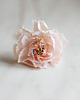 złote naszyjniki Naszyjnik Rose Bloom