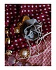 chokery Choker z jedwabiu