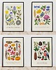 plakaty Plakat ZESTAW "Cztery pory roku" 30x40cm
