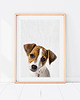 obrazy i plakaty do pokoju dziecięcego Plakat Pies - Jack Russell Terrier