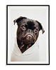 plakaty Plakat z Mopsem PORTRET pieska PUG