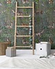 tapety i naklejki ścienne Tapeta Wonder Forest  Graphite