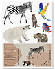 naklejki ścienne do pokoju dziecka NAKLEJKI EDUKACYJNE ANIMALS MINIZOO (zestaw mały)