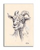 grafiki i ilustracje Grafika ręcznie malowana "Koza" kozioł