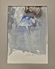 obrazy Aurelia Aurita 1 / 7/ 26 / akwarela