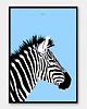 obrazy i plakaty do pokoju dziecięcego Plakat Zebra