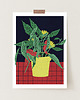 grafiki i ilustracje Begonia plakat grafika kwiaty