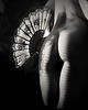 fotografia "Caliente"- Płótno satynowane na blejtramie