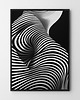 plakaty Plakat Zebra - różne formaty