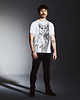 t-shirty męskie Russian Blue Cat Men's T-shirt white