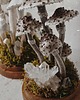 figurki i rzeźby Dekoracja z grzybami - szklany klosz kopułka z Kaniami
