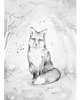 obrazy i plakaty do pokoju dziecięcego Lovely Fox Bilecik White / grey