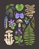 plakaty Plakat "Runo Leśne" brązowe tło 30x40cm