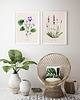 plakaty 2 ilustracje botaniczne  30x40 cm