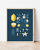 plakaty Plakat "Cytryny" na ciemnym tle 40x50