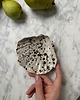 mydelniczki Ceramiczna Mydelniczka Muszelka Muszla Biała w Czarne Ciapki