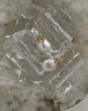 kolczyki pozłacane Kolczyki pozłacane Ryana Earrings