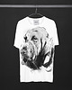 t-shirty męskie Hound Dog Men's T-shirt white