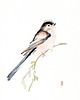 obrazy Oryginalna akwarela. Raniuszek