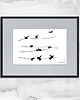 grafiki i ilustracje Oprawiona grafika - Minimalistyczne ptaki (105