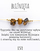bransoletki z kamieni naturalnych Bransoletka z Tygrysim Okiem dla Bliźniąt.