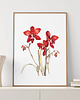 obrazy Orchidea Czerwona 001 - akwarela botaniczna