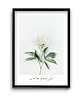 plakaty Plakat Let the flowers grow 