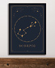 plakaty Plakat Skorpion/Scorpio Znaki Zodiaku Gwiazdozbiór
