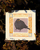 grafiki i ilustracje Print 17x17 cm KOS