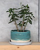 doniczki Doniczka ceramiczna