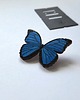 broszki Broszka Motyl Morpho
