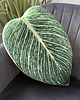 poduszki z grafiką Poduszka Liść Philodendron Birkin Filodendron