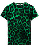 t-shirty dla chłopców T-shirt Boy DR.CROW Green Panther