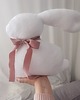 poduszki do pokoju dziecka Poduszka ozdobna - maskotka personalizowana - królik (kolory)