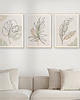 plakaty Zestaw 3 stylowych plakatów w stylu Boho, rośliny, monstera, line art.