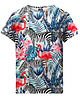 t-shirty dla chłopców T-shirt Boy DR.CROW Flamingi