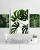 plakaty ZESTAW PLAKATÓW BOTANICZNYCH plakaty monstera