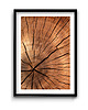 plakaty Plakat Drewno  No. 2