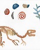grafiki i ilustracje Dinozaur i skamieliny - akwarela