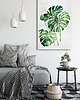 obrazy Obraz na płótnie ROŚLINKA MONSTERA 70x100cm