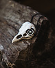 wisiory Wisior Czaszka Ptaka - Tyto Alba - Perłowe oczy