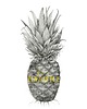 plakaty Plakat  Ananas comosus
