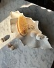 pojemniki na biżuterię Rzeźbiarska Muszla Ceramiczna XL Tacka na Biżuterię i Klucze Milky White