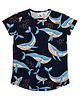 t-shirty dla chłopców T-shirt Granatowy Wieloryb