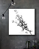 grafiki i ilustracje Cotton flowers print  50x50 cm