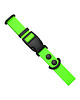 smycze i obroże dla psów i kotów Obroża dla psa regulowana wodoodporna hexa NEON ZIELONA 40-55cm taśma 2cm M