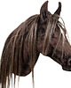 zabawki - inne Realistyczny Hobby Horse ciemny kasztan/balejaż/łatka